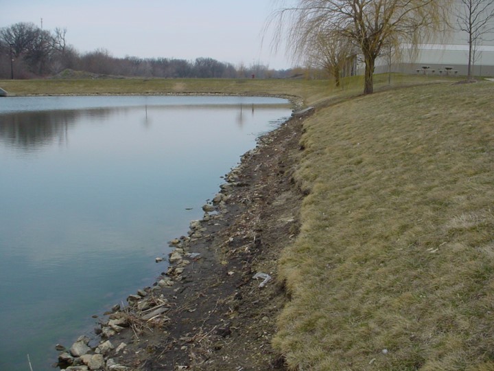 Example of an Eroded Shoreline