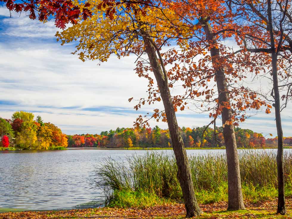 ILM Seasonal Care List - Autumn on Wisconsin lake shore
