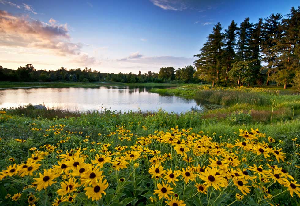 ILM Lake Management helps Illinois and Wisconsin Ponds and Lakes healthy and beautiful