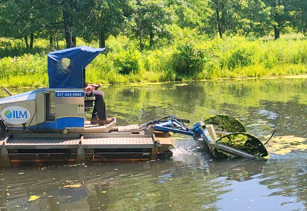 ILM Manual Algae Removal from a Pond or lake