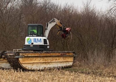 ILM Environments Invasive Species Before (photo courtesy of Friends of Hackmatack National Wildlife Refuge (FHNWR)