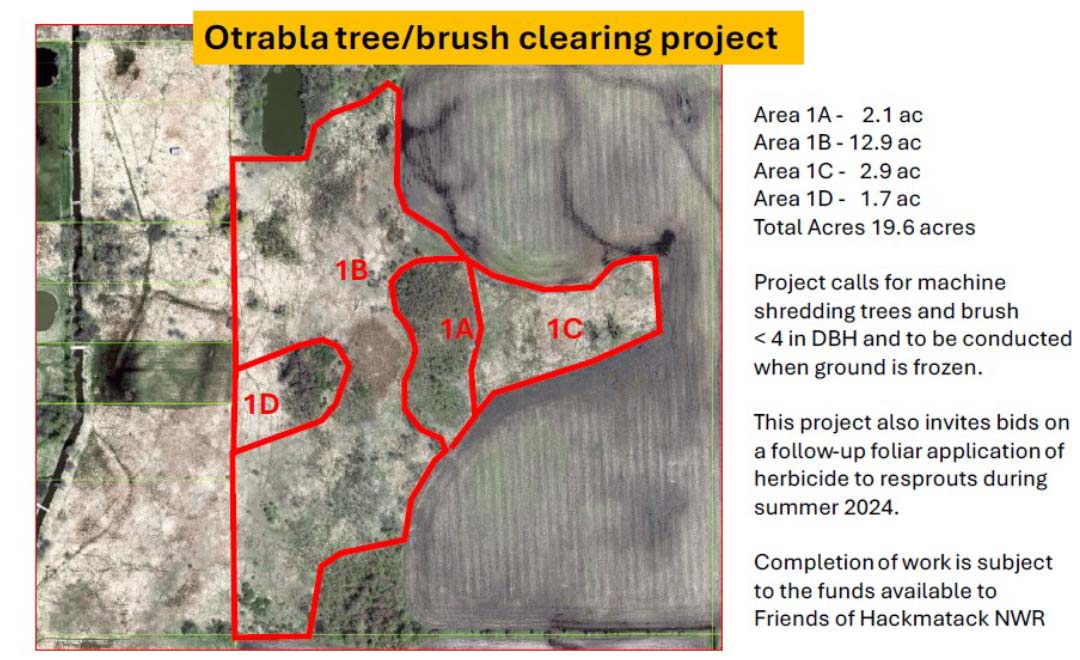 ILM Environments Hackmatack National Wildlife Refuge, Otrabala Parcel Tree and Brush Clearing