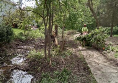 ILM Environments Stanford Meadows Stream Restoration- Tree & Vegetative Debris Removal