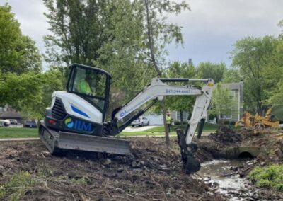 ILM Environments Stanford Meadows Stream Restoration- Tree Removal