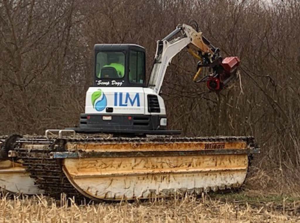 ILM Environments Invasive Species Before (photo courtesy of Friends of Hackmatack National Wildlife Refuge (FHNWR)