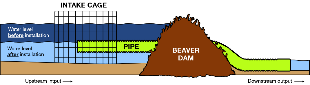 ILM Beaver Dam Leveler Overview