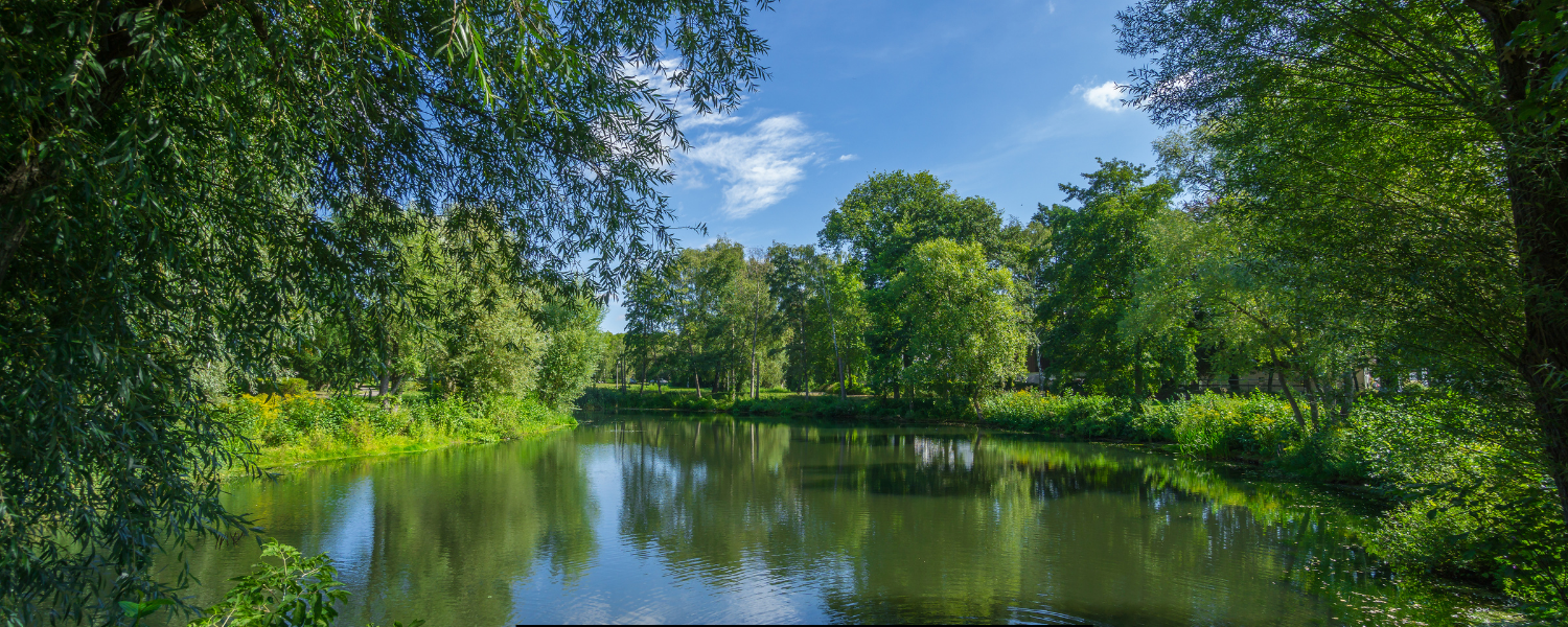 lake and pond management naperville il lake and pond management naperville il