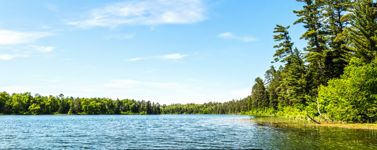 Lake and pond management lemont il Lake and pond management lemont il