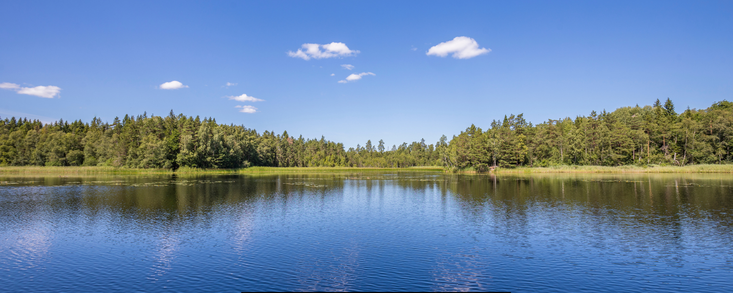 Lake & Pond Management Orland Park IL Lake & Pond Management Orland Park IL