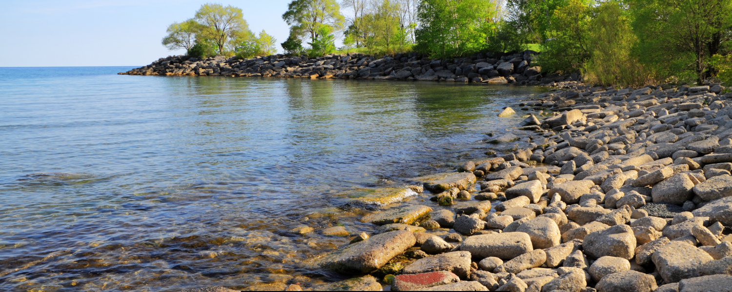 Lake and pond management tinley park il Lake and pond management tinley park il