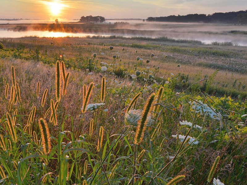 ILM Wetland Restoration Hackmatack National Wildlife Refuge