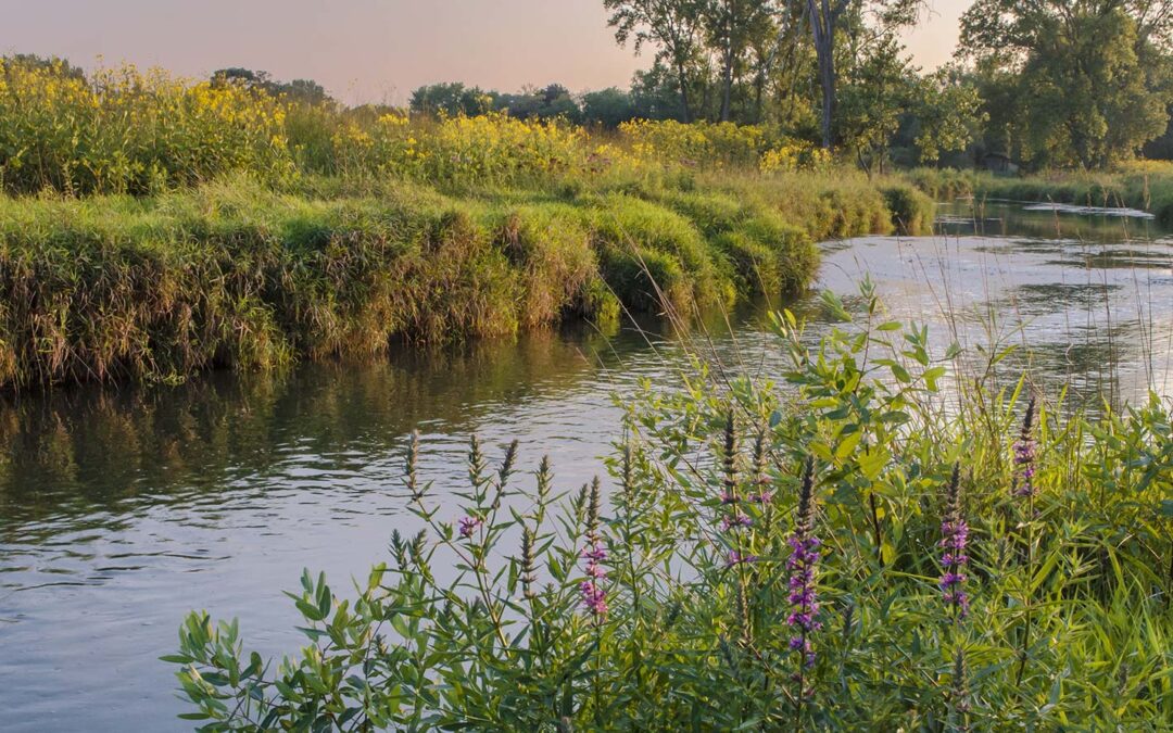 Wetland Restoration and Re-Creation
