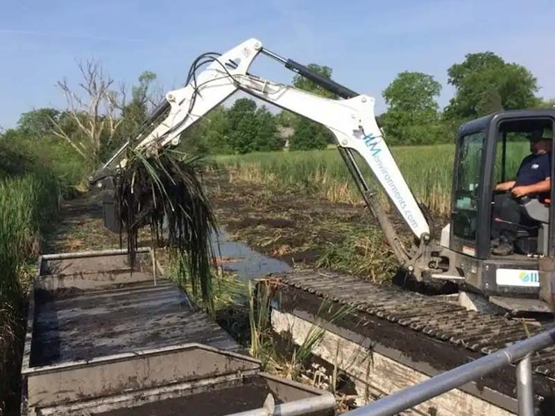 ILM wetland Channel Dredging