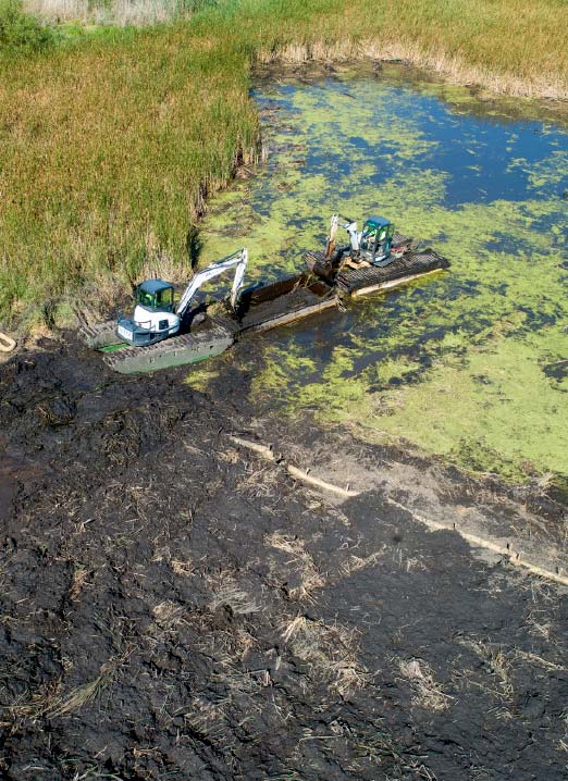 ILM wetland restoration. wetland scrape at Pingree Grove