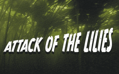 Attack of the Lilies
