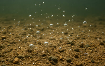 What is Pond & Lake Nutrient Deactivation?