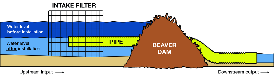 ILM Beaver Dam Leveler diagram