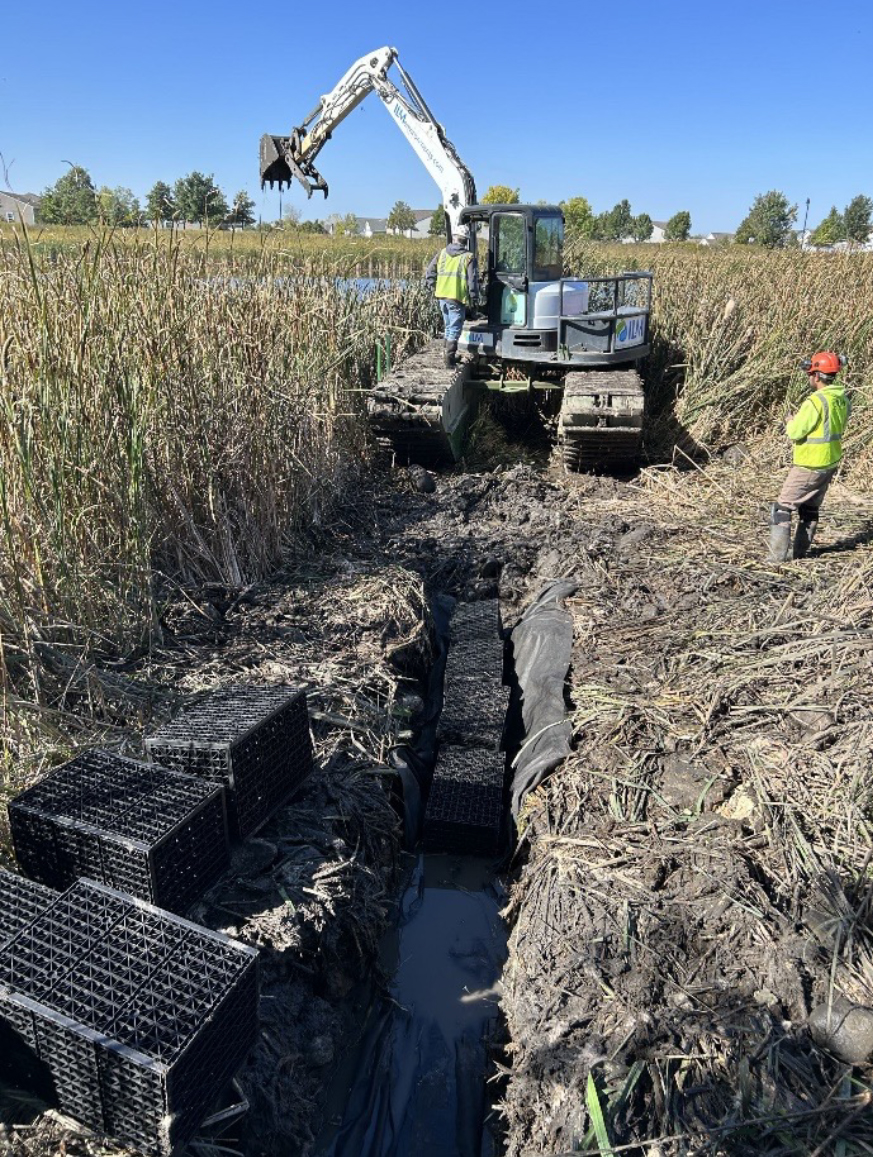 Before and After Beaver Dam Levelers