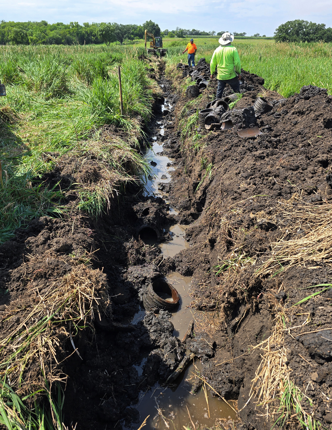 ILM Environments Hackmatack National Wildlife Refuge