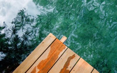 Quick Fix: Dock Area & Shoreline Solutions!