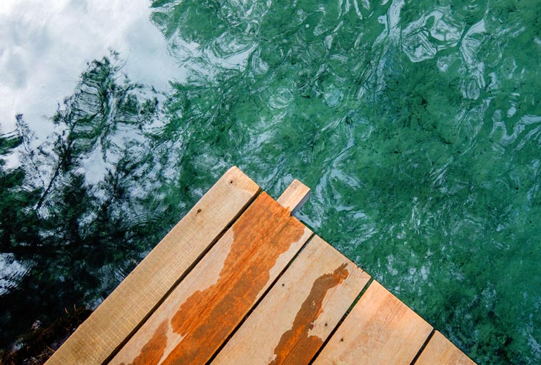 ILM Quick Fix Dock Area and Shoreline Maintenance