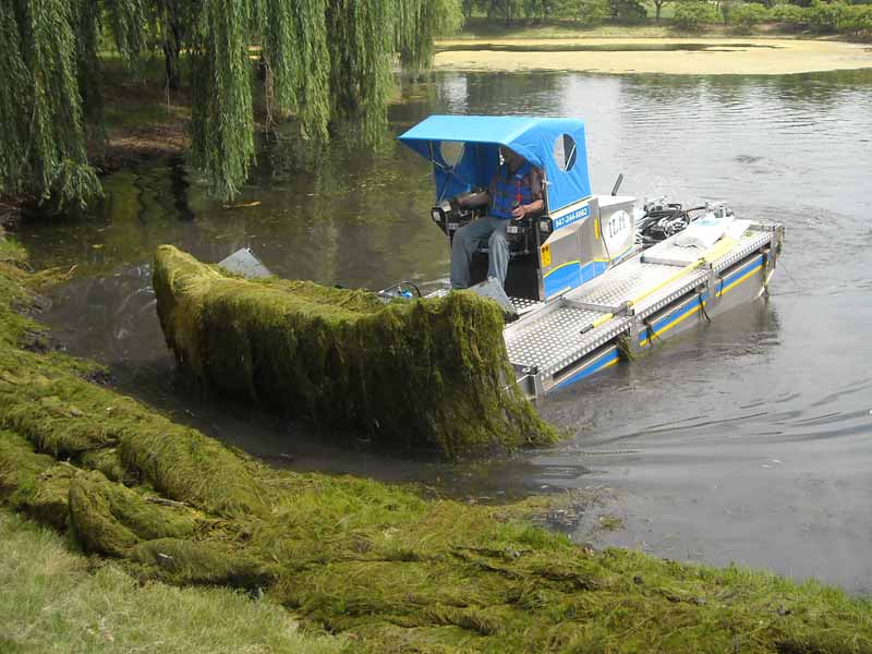ILM Dock Area & Shoreline Maintenance Truxor