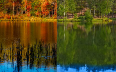Four Autumn Steps to Prepare Your Lake for Spring