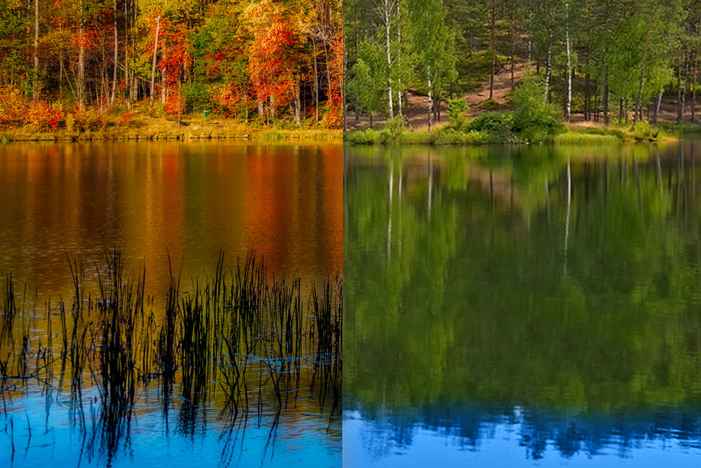 Four Autumn Steps to Prepare Your Lake for Spring